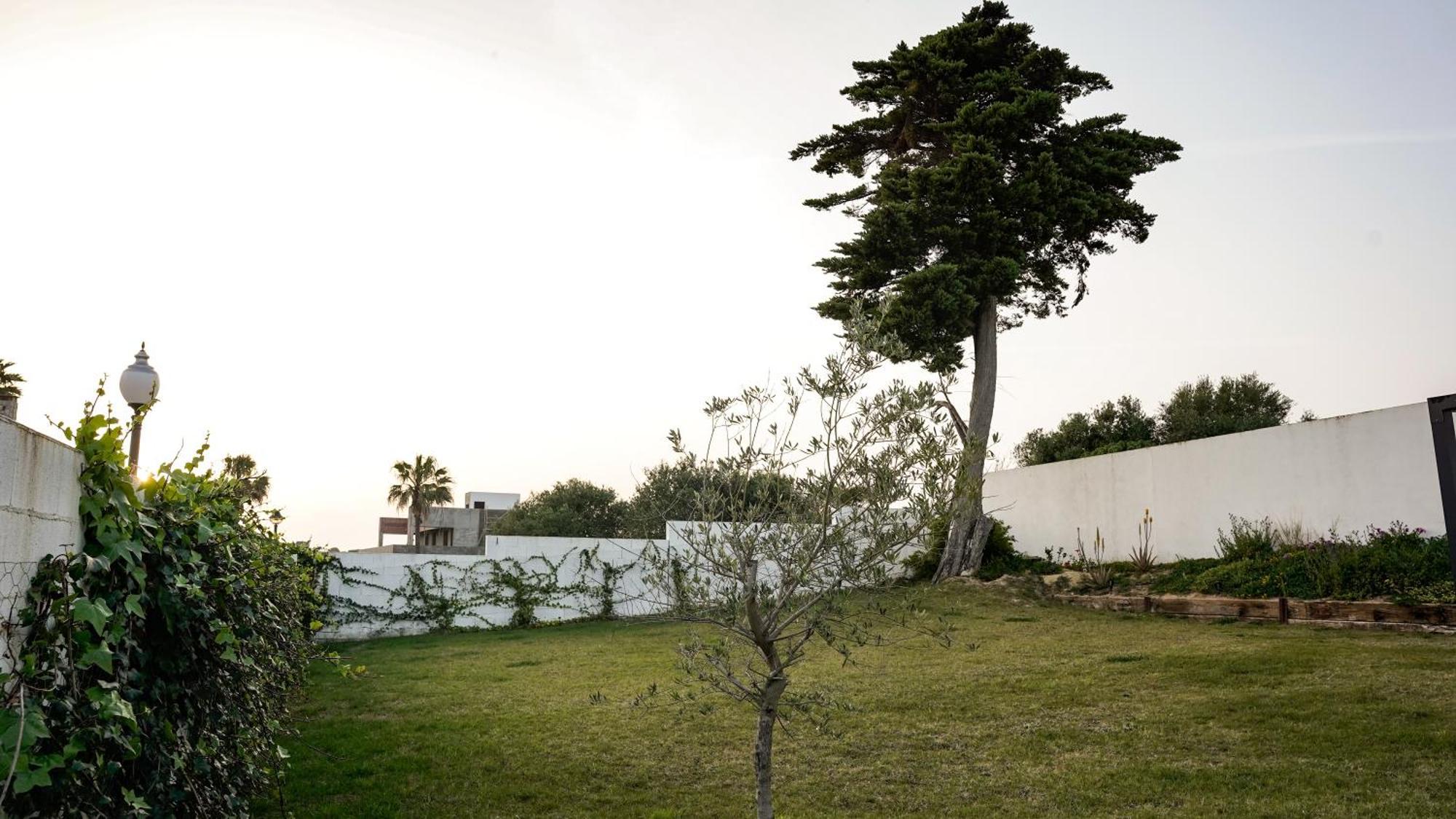 Villa Anyway Conil Un Lujo Frente Al Mar Conil De La Frontera Exteriör bild