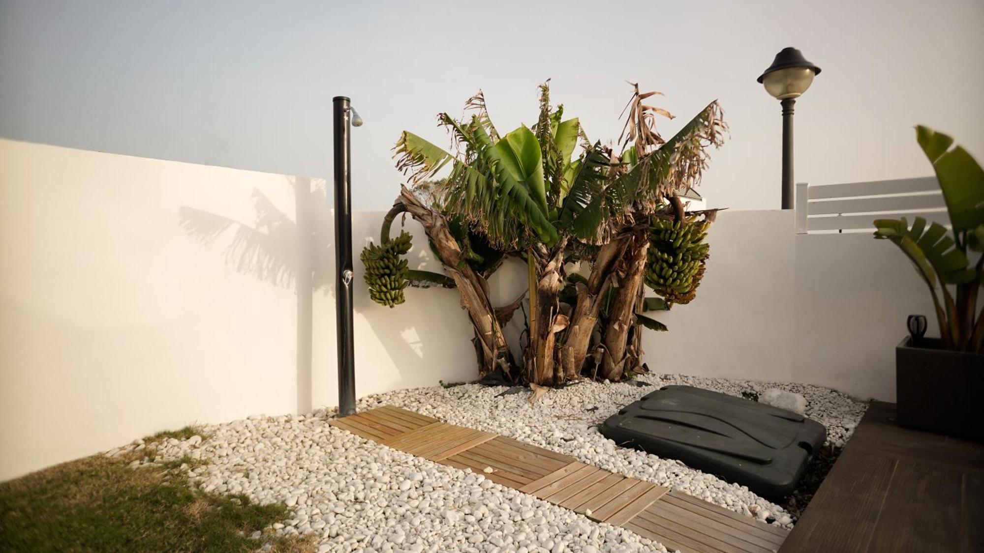 Villa Anyway Conil Un Lujo Frente Al Mar Conil De La Frontera Exteriör bild